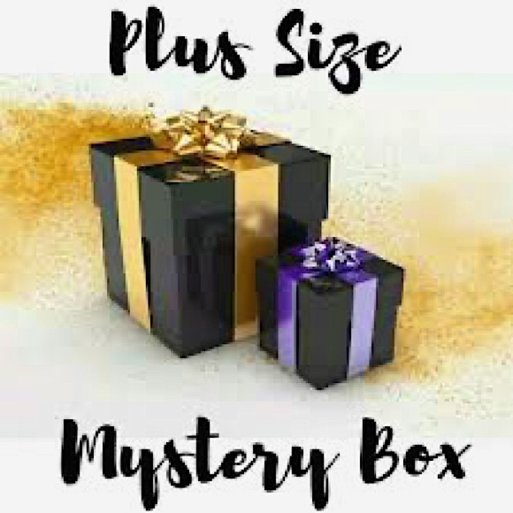 Mystery Box of Plus-Size tops.  Some New, some NWT and gently worn tops.